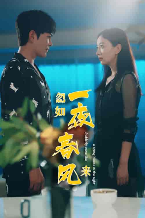 忽如一夜春风来(28集)徐江帅-紫橙资源网