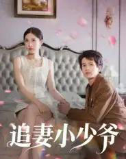追妻小少爷（31集全）曾旭航-紫橙资源网