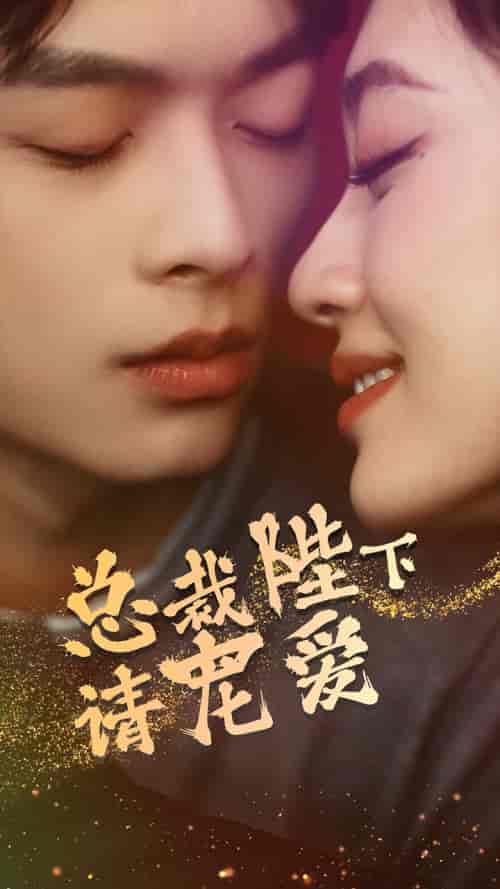 总裁陛下请宠爱（96集）-紫橙资源网