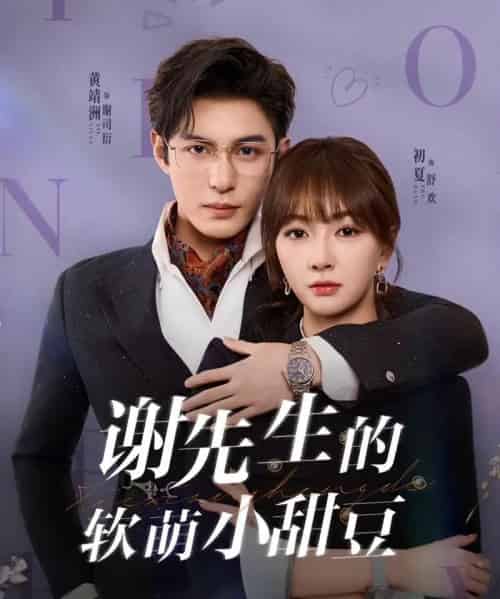 谢先生的软萌小甜豆(79集全)黄靖洲(孝太)&初夏-紫橙资源网