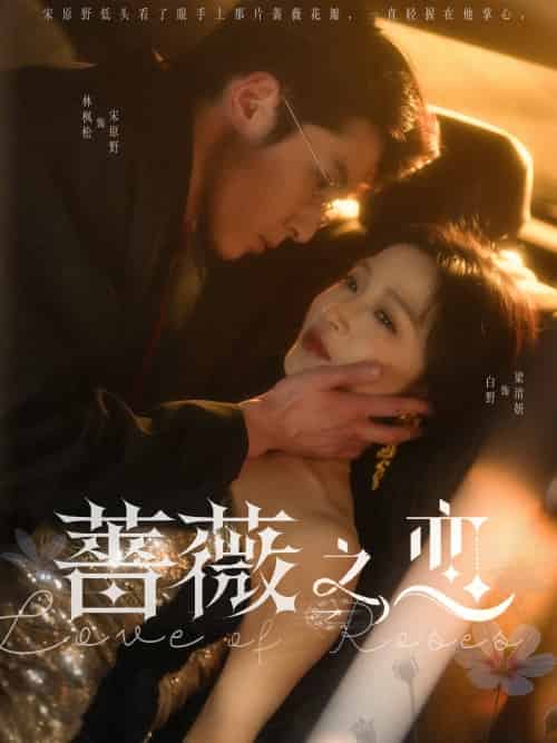 蔷薇之恋（82集）林枫松＆白野-紫橙资源网