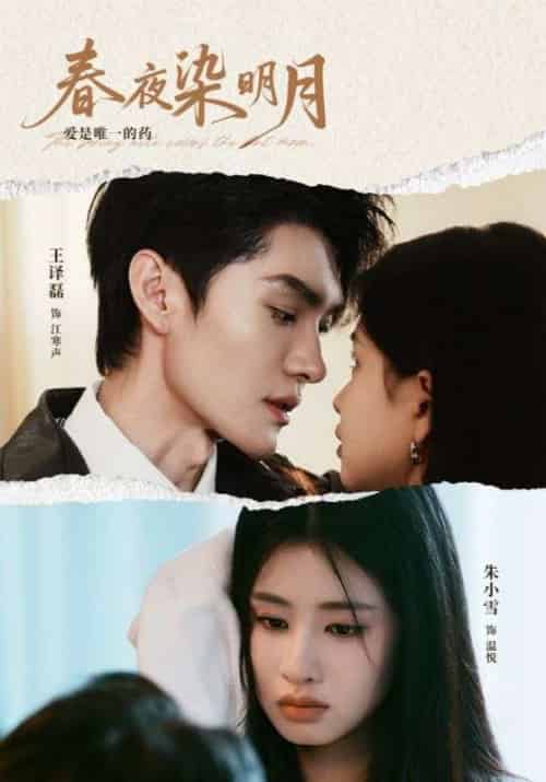 春夜染明月(48集)王译磊&朱小雪-紫橙资源网