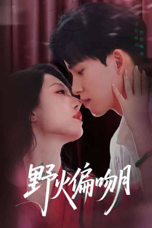 野火偏吻月（51集）钟莹玲＆岳杨-紫橙资源网
