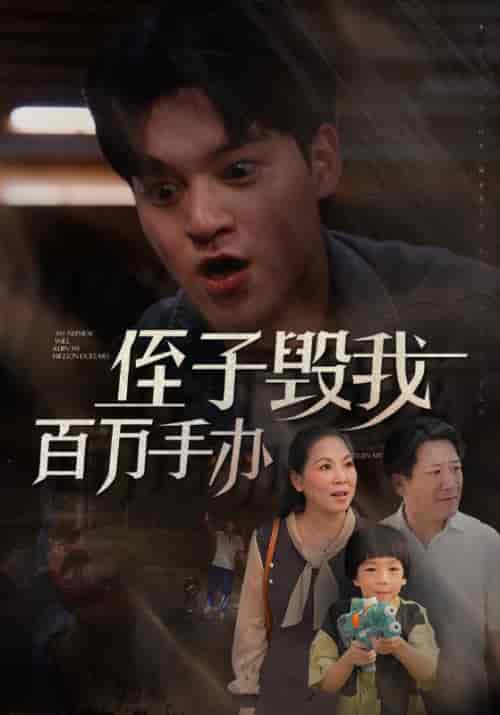 侄子毁我百万手办（85集全）张海＆王芬-紫橙资源网