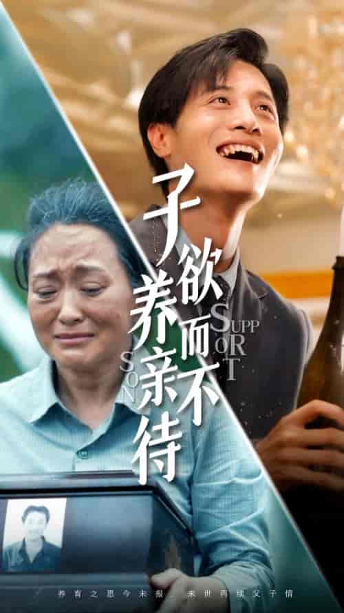 子欲养而亲不待（42集）-紫橙资源网