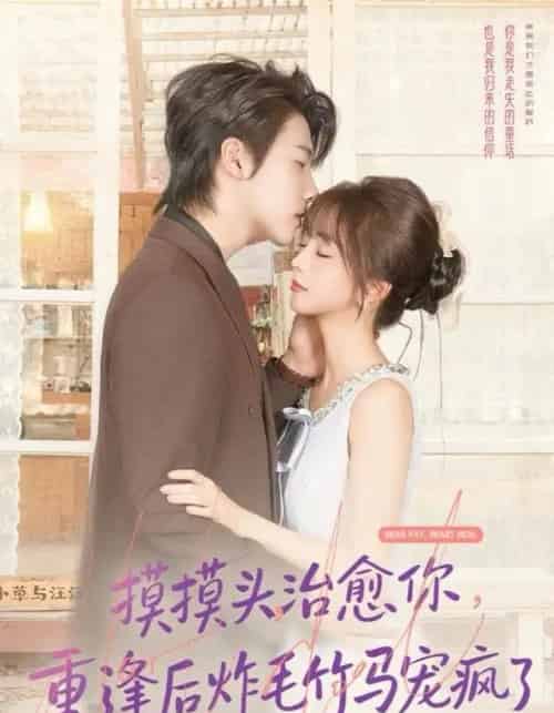 摸摸头,治愈你,重逢后炸毛竹马宠疯了(81集全)张韫韬&蔡淼燕-紫橙资源网