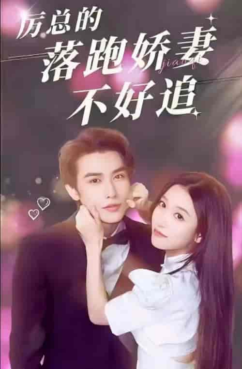 厉总的落跑娇妻不好追(72集)-紫橙资源网