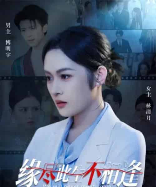 缘尽此生不相逢（30集） - 紫橙短剧