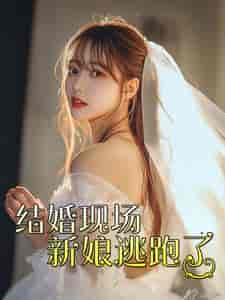 结婚现场新娘逃跑了（81集）-紫橙资源网
