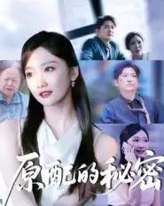 原配的秘密（60集全）祁木＆李静宜-紫橙资源网