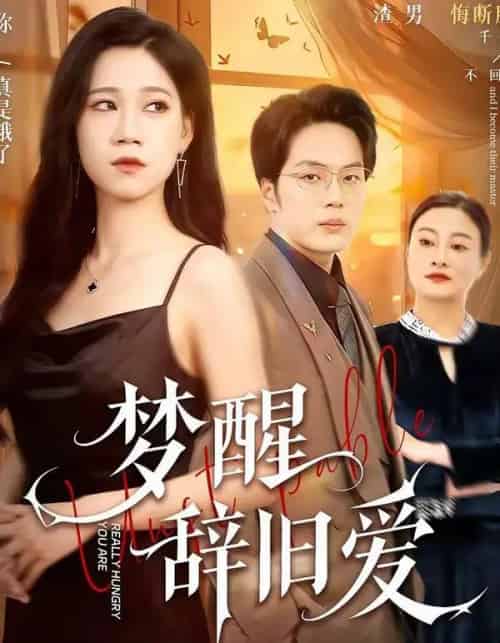 梦醒辞旧爱（55集全）陈七七＆关一夫-紫橙资源网