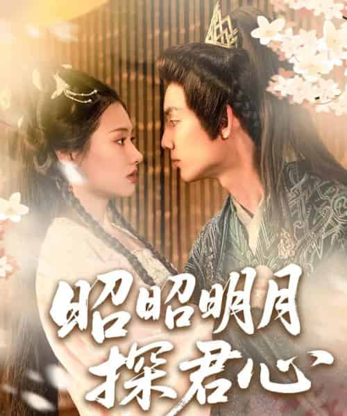 昭昭明月探君心(86集)林永炬&张梦童&陈思琦-紫橙资源网