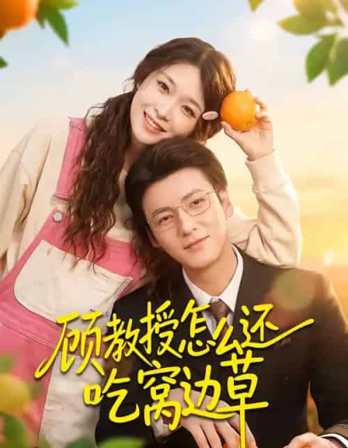 顾教授怎么还吃窝边草（60集全）吴恋融＆肖涵-紫橙资源网