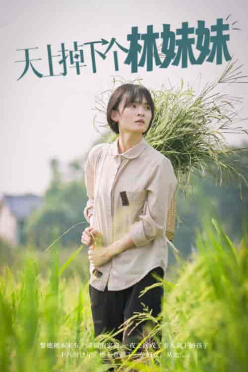 天上掉下个林妹妹（81集全）-紫橙资源网