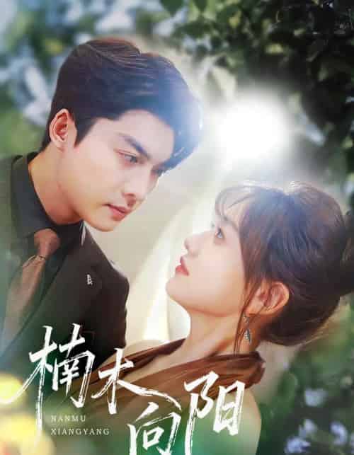 楠木向阳（70集全）方正男＆仇乐瑶-紫橙资源网