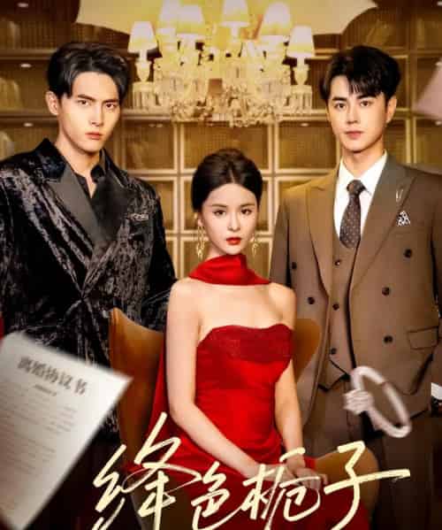 绛色栀子（82集）王彦鑫＆孟娜＆千喆-紫橙资源网