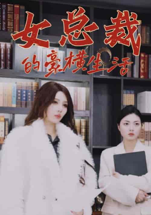 女总裁的豪横生活(100集全)唐轩&盛夜岚-紫橙资源网
