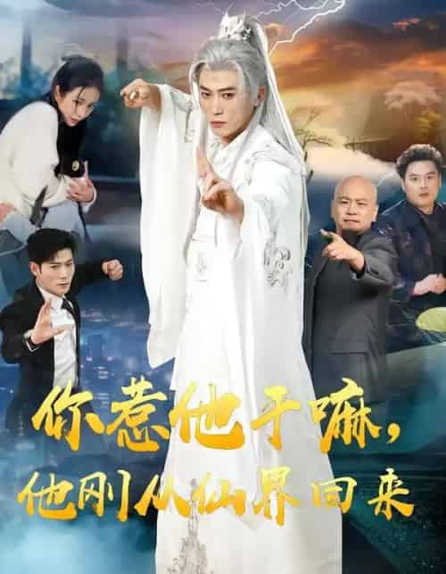 你惹他干嘛，他刚从仙界回来（80集全）王小橙＆李乾锋-紫橙资源网