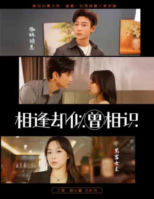 相逢却似曾相识（离婚后顾太太的马甲藏不住了）（79集）-紫橙资源网