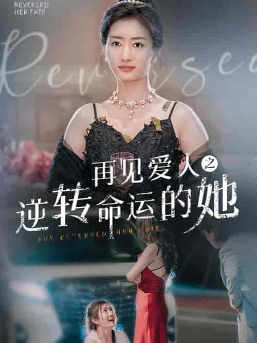 再见爱人之逆转命运的她（92集全）-紫橙资源网