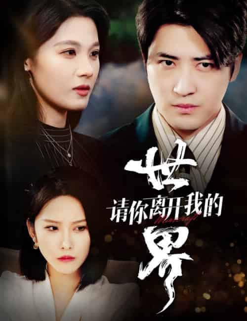 请你离开我的世界（37集全）-紫橙资源网