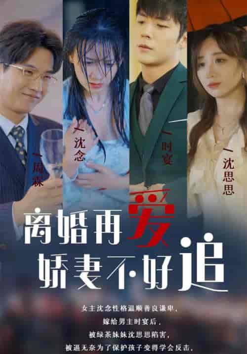 离婚再爱娇妻不好追（100集全）时宴＆沈念-紫橙资源网