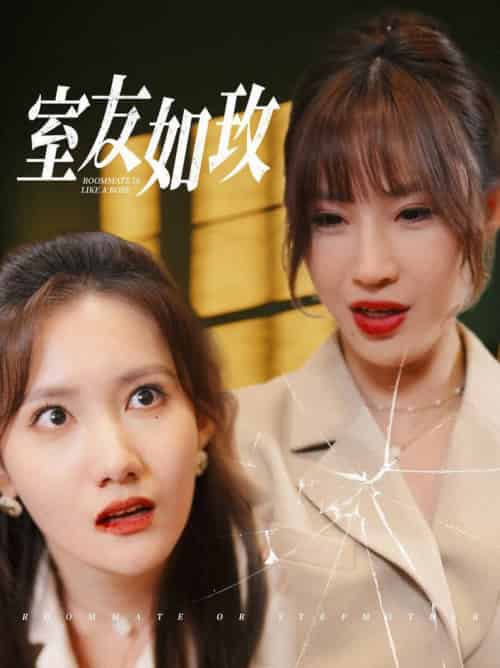 室友如玫（36集全）-紫橙资源网