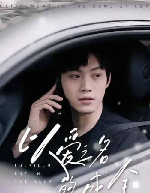 以爱之名的成全（14集全）刘鑫宇＆孙珺昂-紫橙资源网