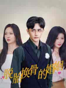 脱胎换骨的婚姻(40集全)胡冬晴-紫橙资源网