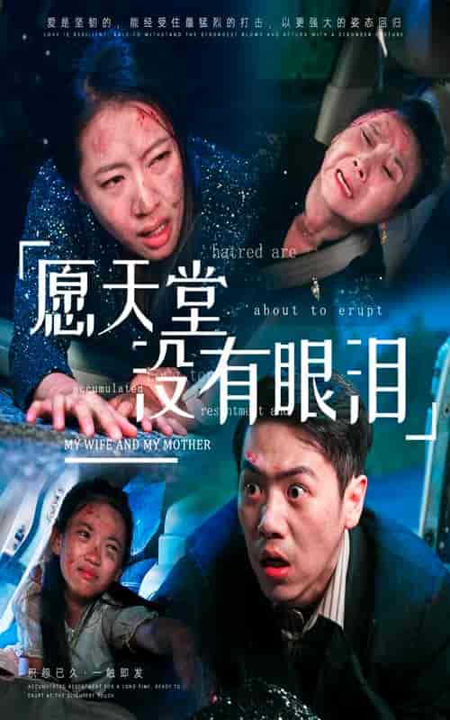 愿天堂没有眼泪（70集全）-紫橙资源网