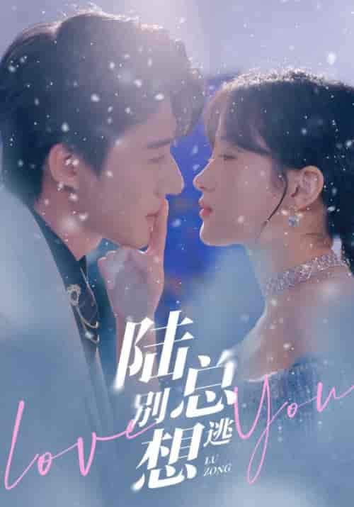 陆总别想逃（80集） - 紫橙短剧