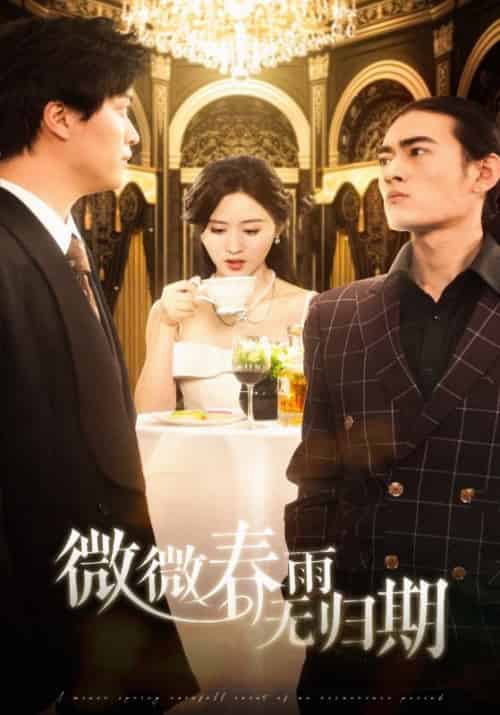 微微春雨无归期（65集全）叶青阳＆洛雨微 - 紫橙短剧