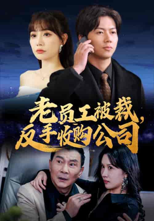 老员工被裁,反手收购公司(34集全)李广南&孙珞璃-紫橙资源网