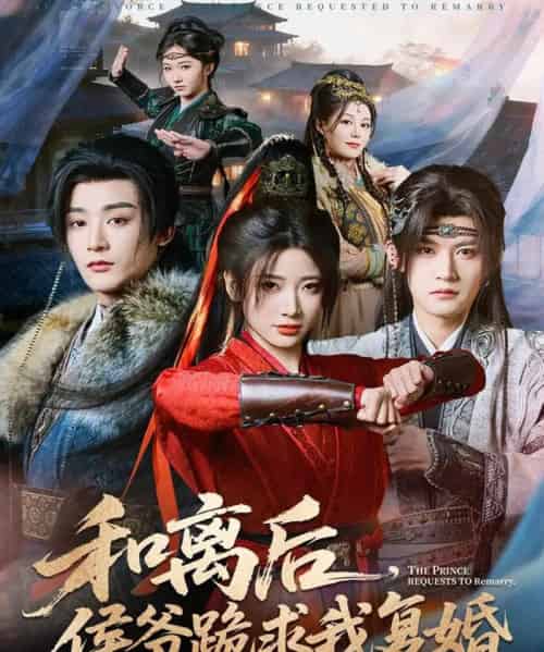 和离后，侯爷跪求我复婚（66集全）林昱希＆宗妍初-紫橙资源网