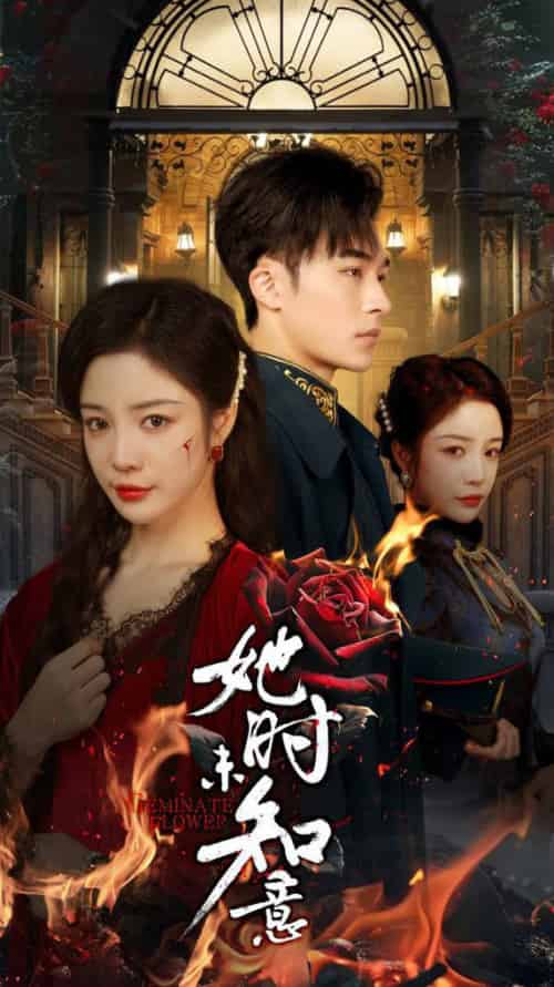 她时未知意（70集全）常高明＆田熙雯-紫橙资源网