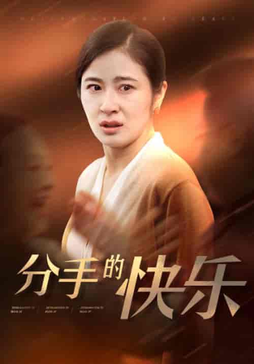 分手的快乐（66集全）钟北海＆何金玉-紫橙资源网