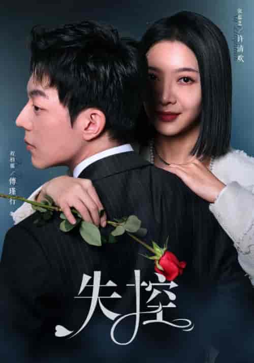 失控（89集）-紫橙资源网