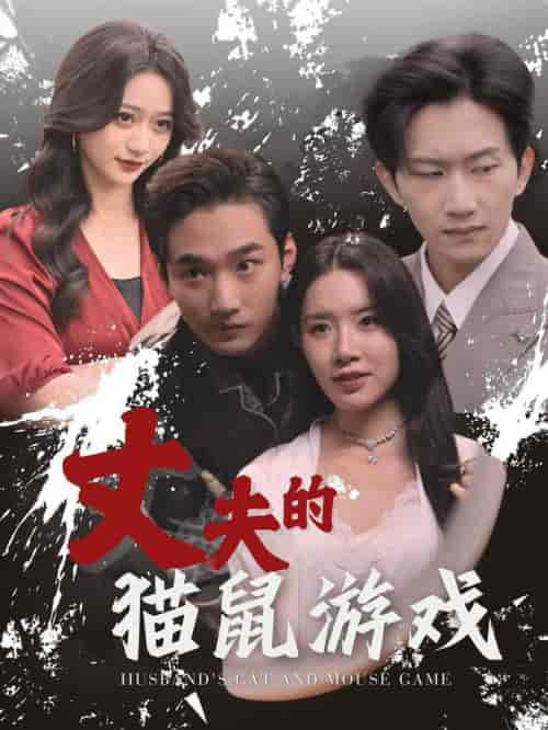丈夫的猫鼠游戏（30集全）-紫橙资源网