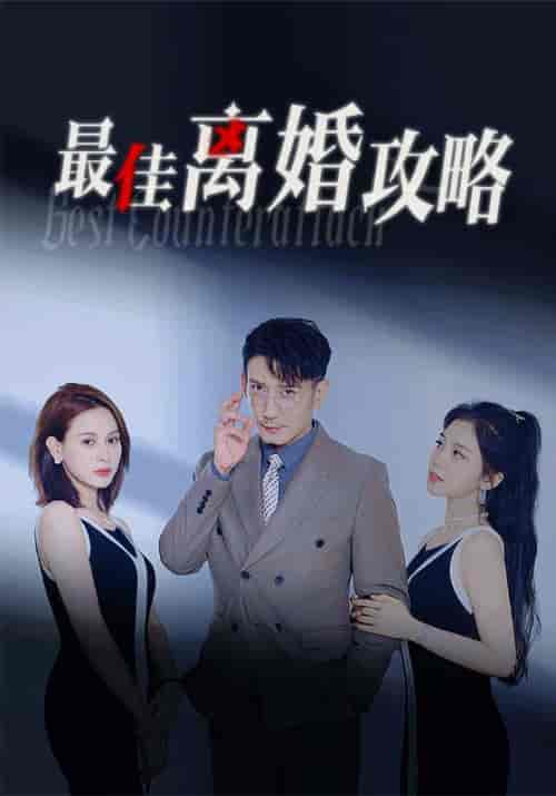 最佳离婚攻略（31集）沈政南＆秦芯-紫橙资源网