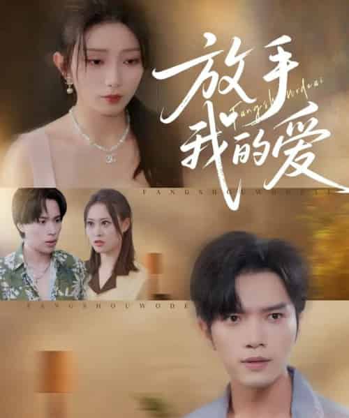 放手我的爱（47集全）史庭赫＆苗淼-紫橙资源网