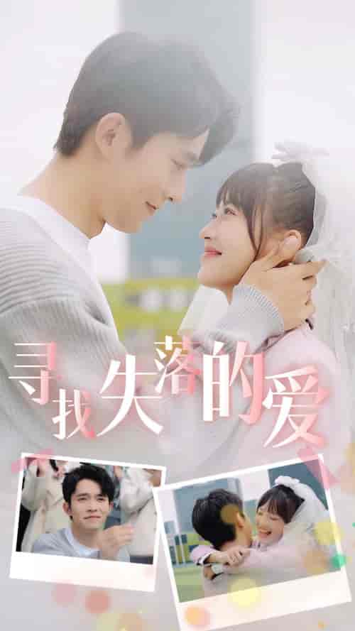 寻找失落的爱(79集)-紫橙资源网