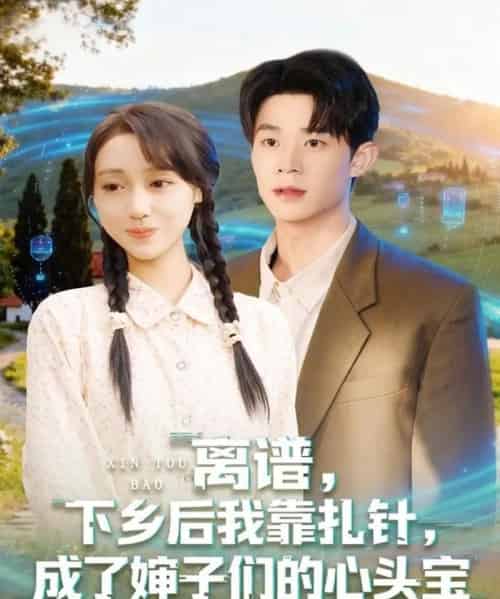 离谱下乡后我靠扎针成了婶子们的心头宝（79集全）张凤鑫＆李灼一-紫橙资源网