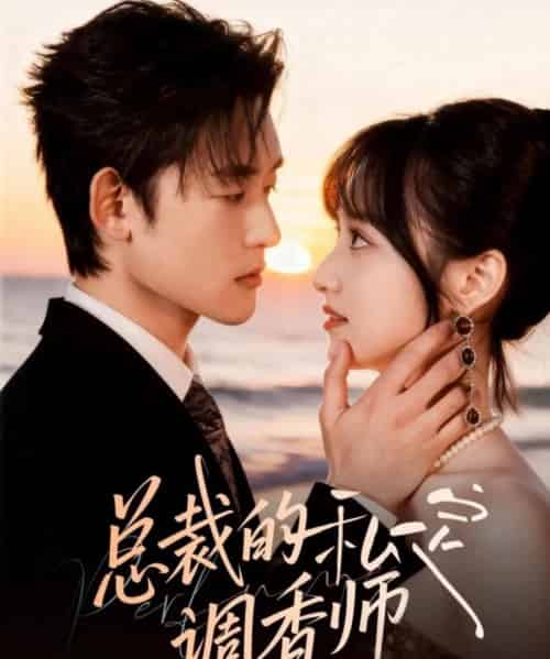 总裁的私定调香师（80集全）张力壬＆徐子珊-紫橙资源网
