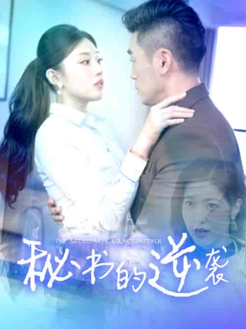 秘书的逆袭（50集全）擦边剧-紫橙资源网