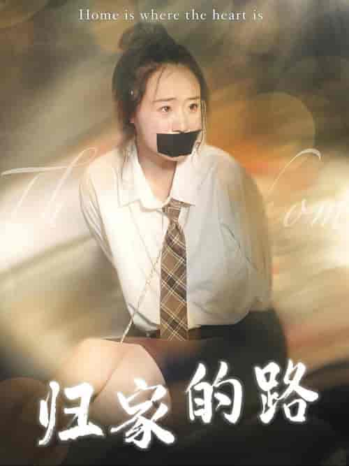 归家的路（80集全）-紫橙资源网