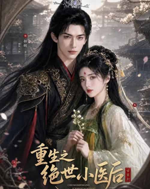 重生之绝世小医后（68集全）AI-紫橙资源网