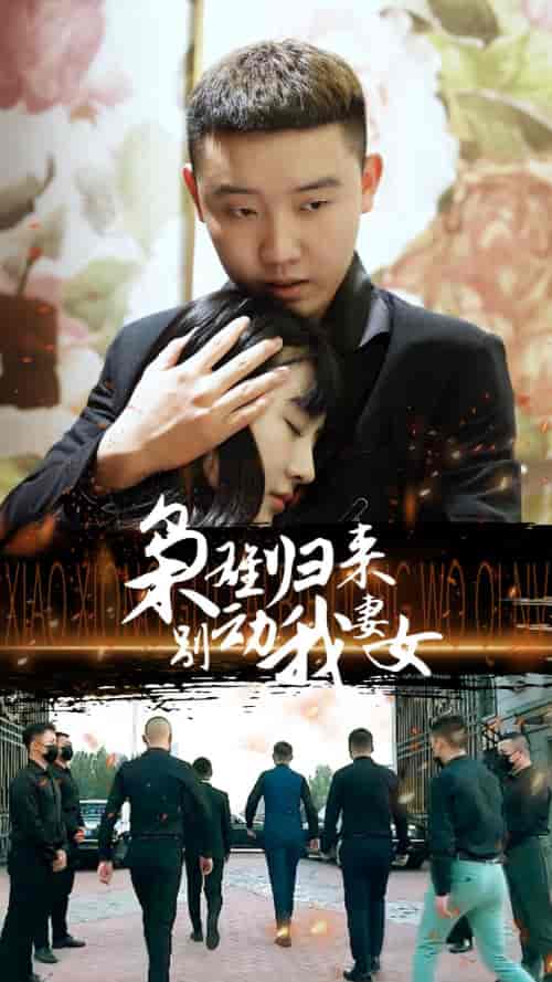 枭雄归来别动我妻女（70集）-紫橙资源网