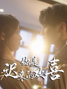 你是迟来的欢喜（78集全）-紫橙资源网