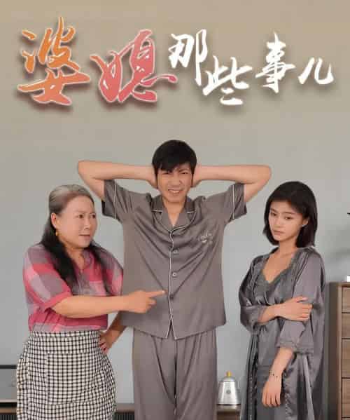 婆媳那些事儿 共30集-紫橙资源网