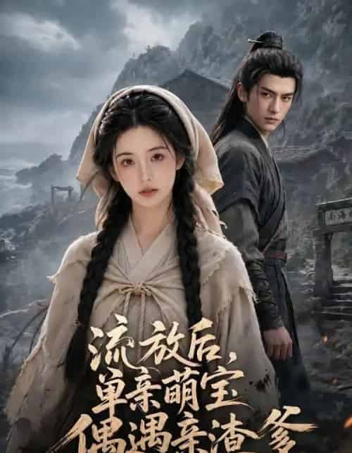流放后，单亲萌宝偶遇亲渣爹第二季南荒篇（94集全）AI-紫橙资源网